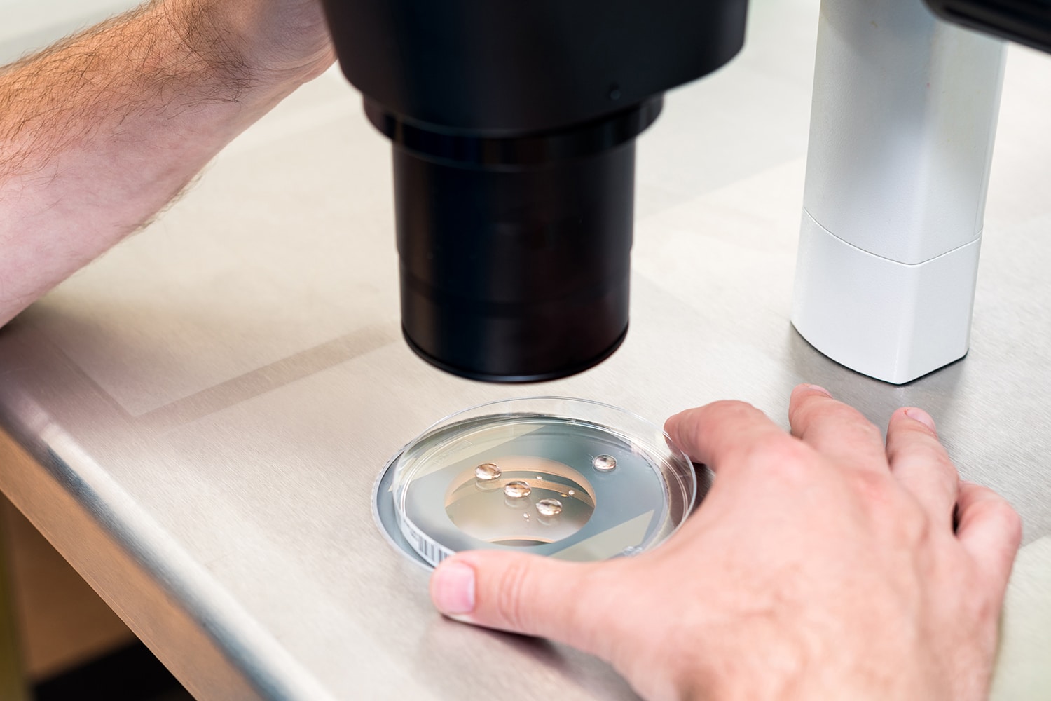 Azoospermia Azoospermia