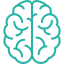 Cerebro Cerebro