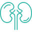 Litiasis Renal