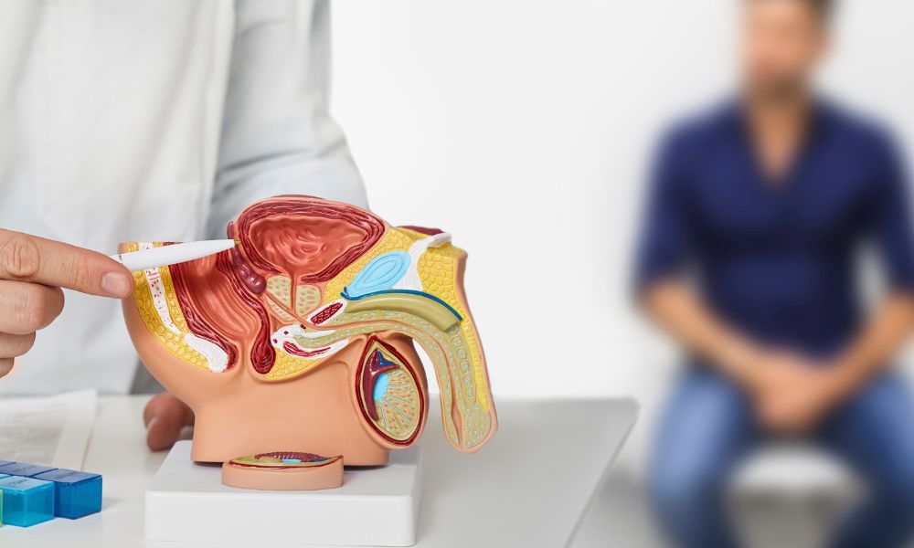 Identifica Los Síntomas De Cáncer De Próstata 1 Qué Es El Cáncer De Próstata Y Cómo Puede Afectarte