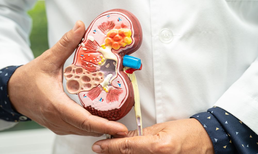 Uroflujometría: Guía Completa De Procedimiento 2 Interpretación De Los Resultados De La Uroflujometría