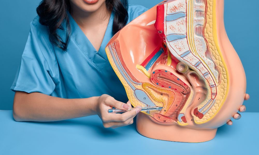 Cateterismo Vesical: Explicación Detallada Para Pacientes 2 Guía Completa De Cateterismo Vesical